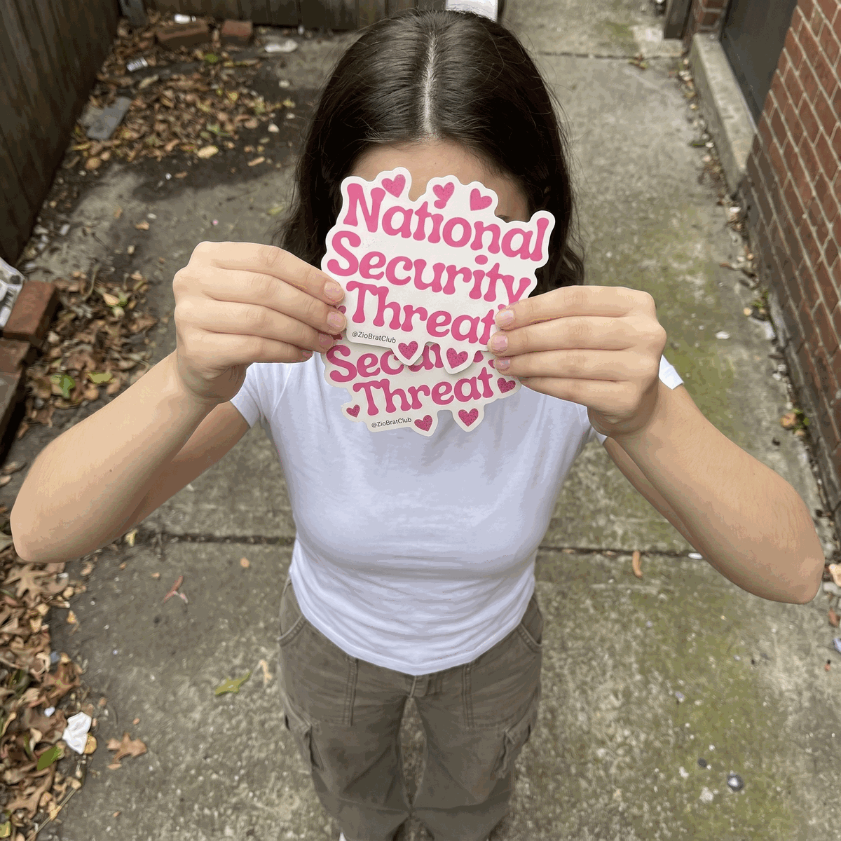 National Security Threat sticker